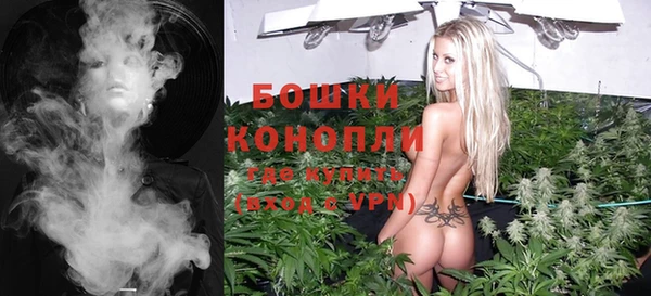 ПСИЛОЦИБИНОВЫЕ ГРИБЫ Слюдянка