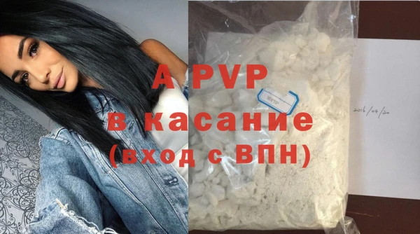 крисы Белокуриха