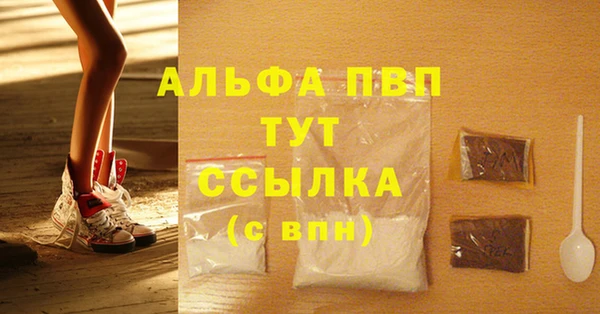 крисы Белокуриха