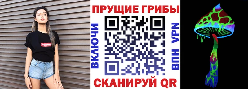 закладка  Воскресенск  Псилоцибиновые грибы GOLDEN TEACHER 