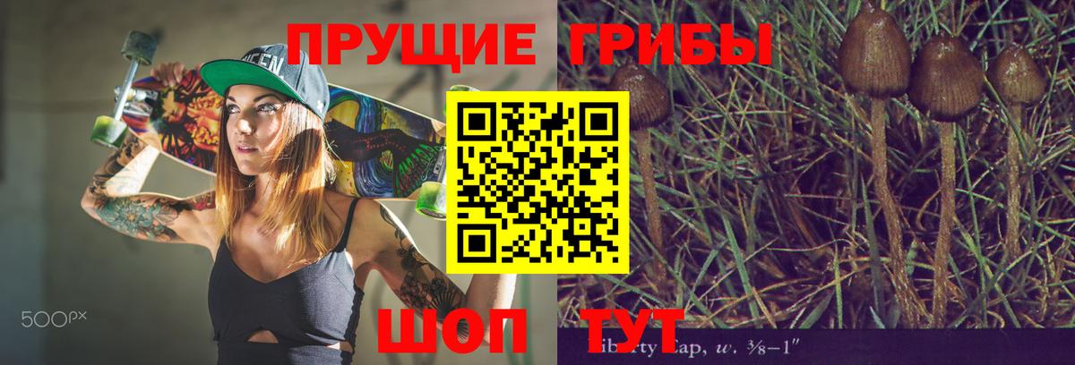 Воскресенск  Галлюциногенные грибы ЛСД  где купить наркоту  Вход с VPN  Галлюциногенные грибы GOLDEN TEACHER 